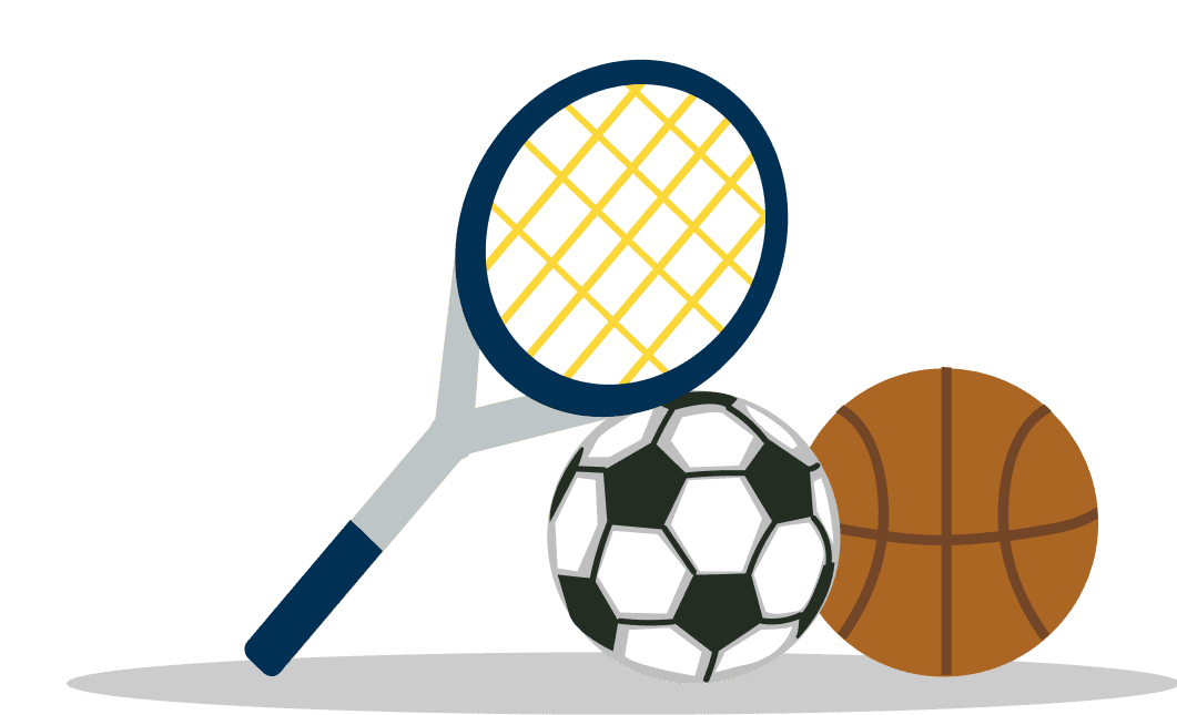 Partners PYS sportsball